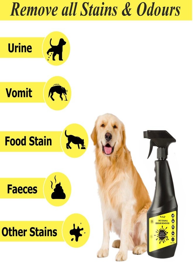 VetSafe Pet Stain & Odour Remover 500 ml | 3X Cleaning Power | Eliminates Tough Stains & Odours | Prevents Repeat Marking | Ideal for Feces, Urine, Vomit & Drool | Pet Area Cleaner - Image 4